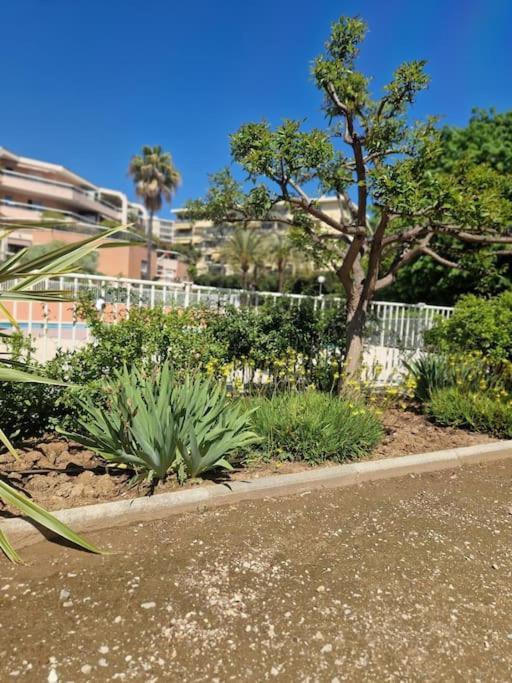 Appartement Vue Mer Sur Les Hauteurs De Nice Bagian luar foto